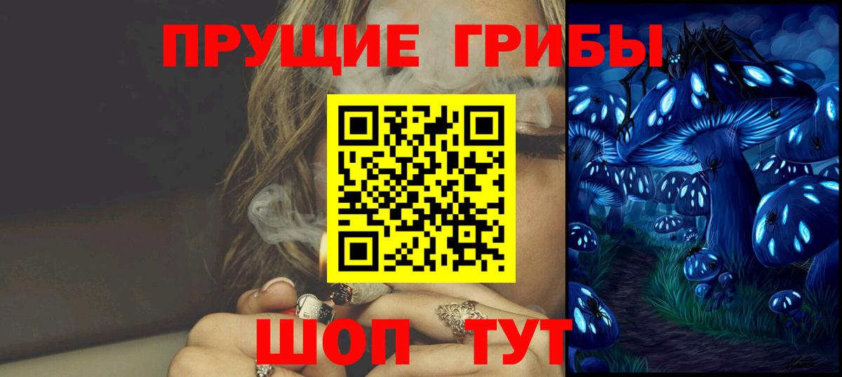 Псилоцибиновые грибы Psilocybe Свободный